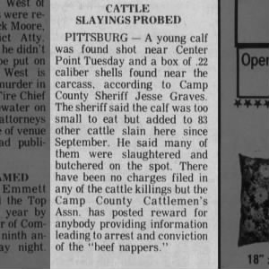 cattle slaying near center point